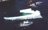 Iceberg in Spillard's Cove