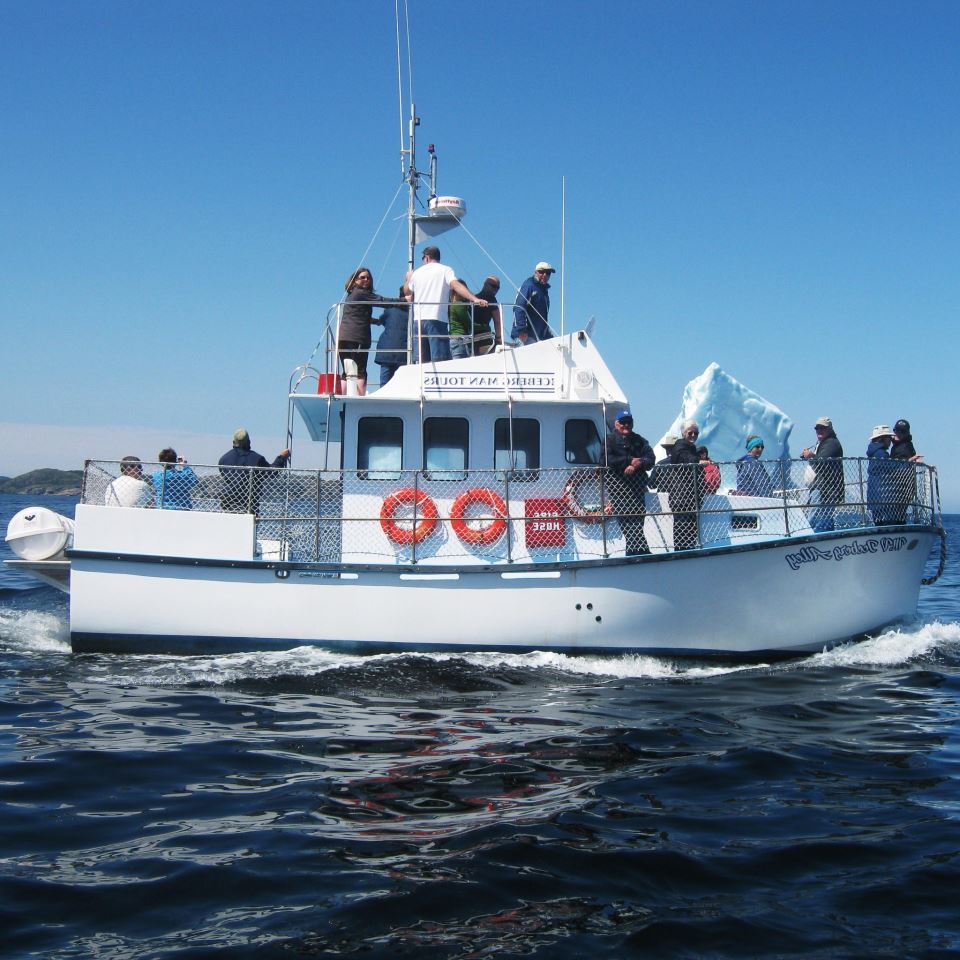 twillingate iceberg boat tours