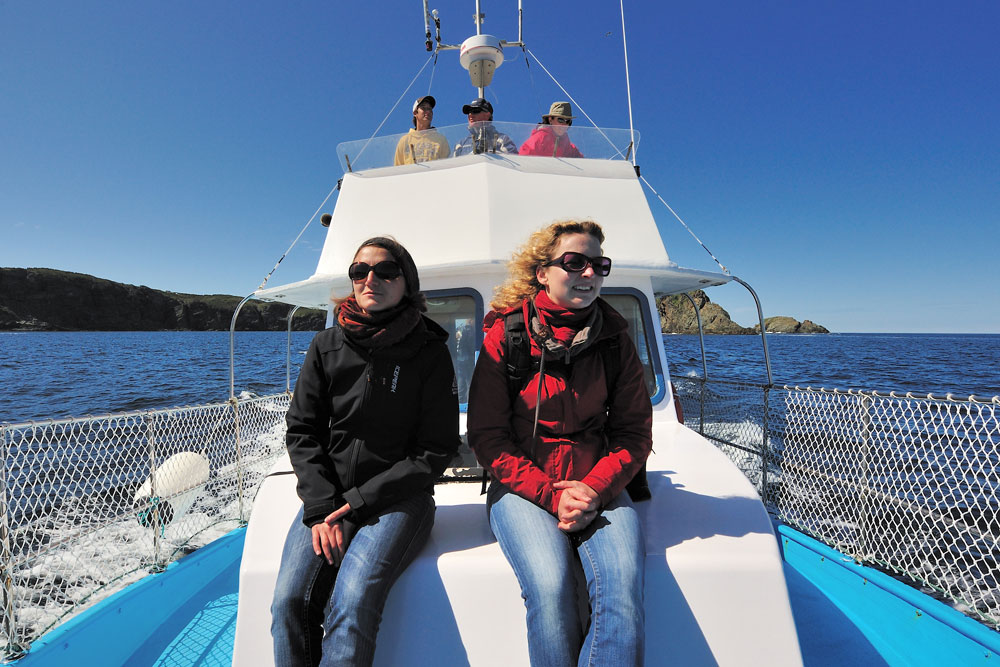 twillingate island boat tours